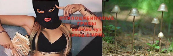 apvp Надым
