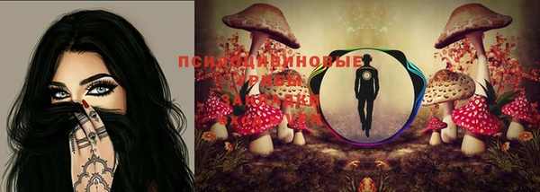 твердый Болотное
