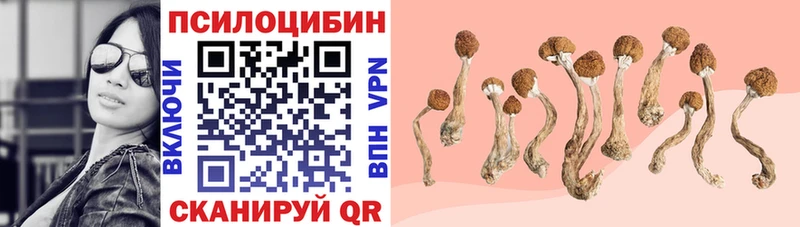 Псилоцибиновые грибы MAGIC MUSHROOMS  Всеволожск 