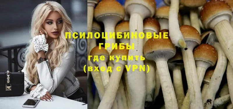 Галлюциногенные грибы Magic Shrooms  где можно купить наркотик  Всеволожск 