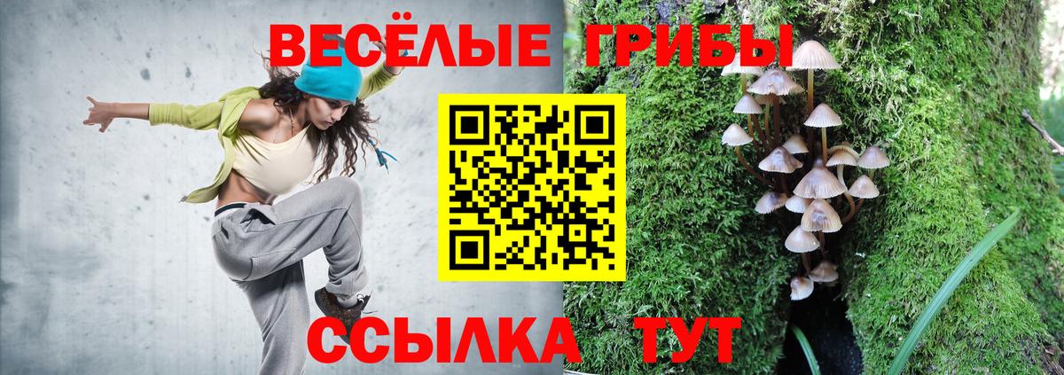 Псилоцибиновые грибы мицелий  Псилоцибиновые грибы MAGIC MUSHROOMS  Вход с VPN  Всеволожск 