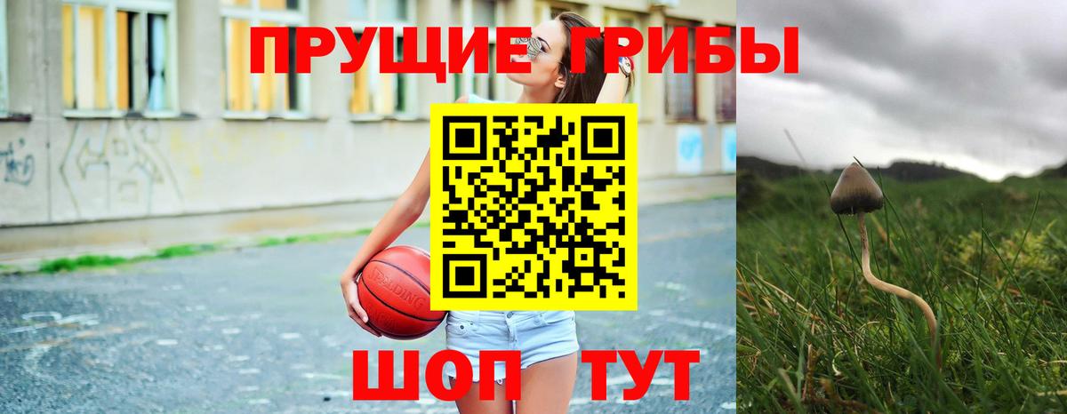 Псилоцибиновые грибы мицелий Всеволожск