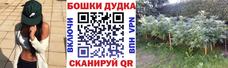 Канабис индика Всеволожск